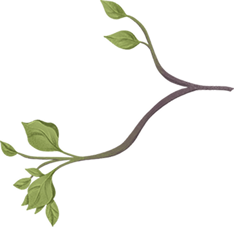 branch-with-leaf